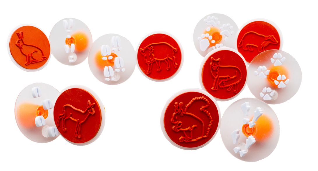 Tierspurenstempel 12er Set